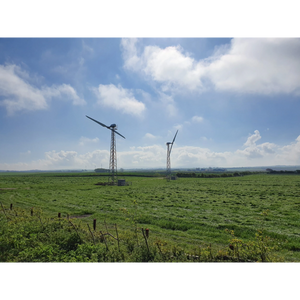 Ryse GW133 Wind Turbine 11 kW Grid Connected, 60 Hz 480V G11-W133-11KW-3PH-Grid
11KW-3PH-Grid