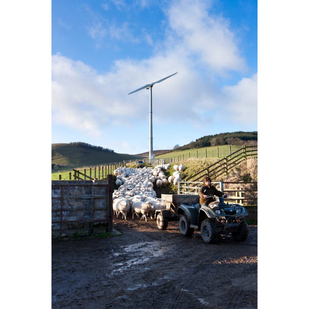 Ryse GW133 Wind Turbine 11 kW Grid Connected, 60 Hz 480V G11-W133-11KW-3PH-Grid
11KW-3PH-Grid